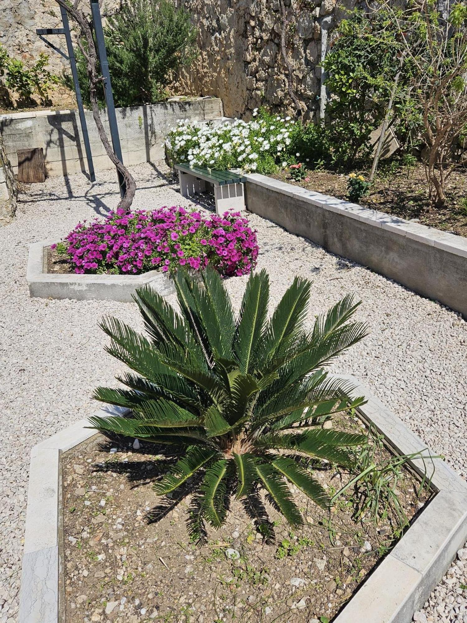 Apartment Marija Close To Old Town Dubrovnik Ruang foto