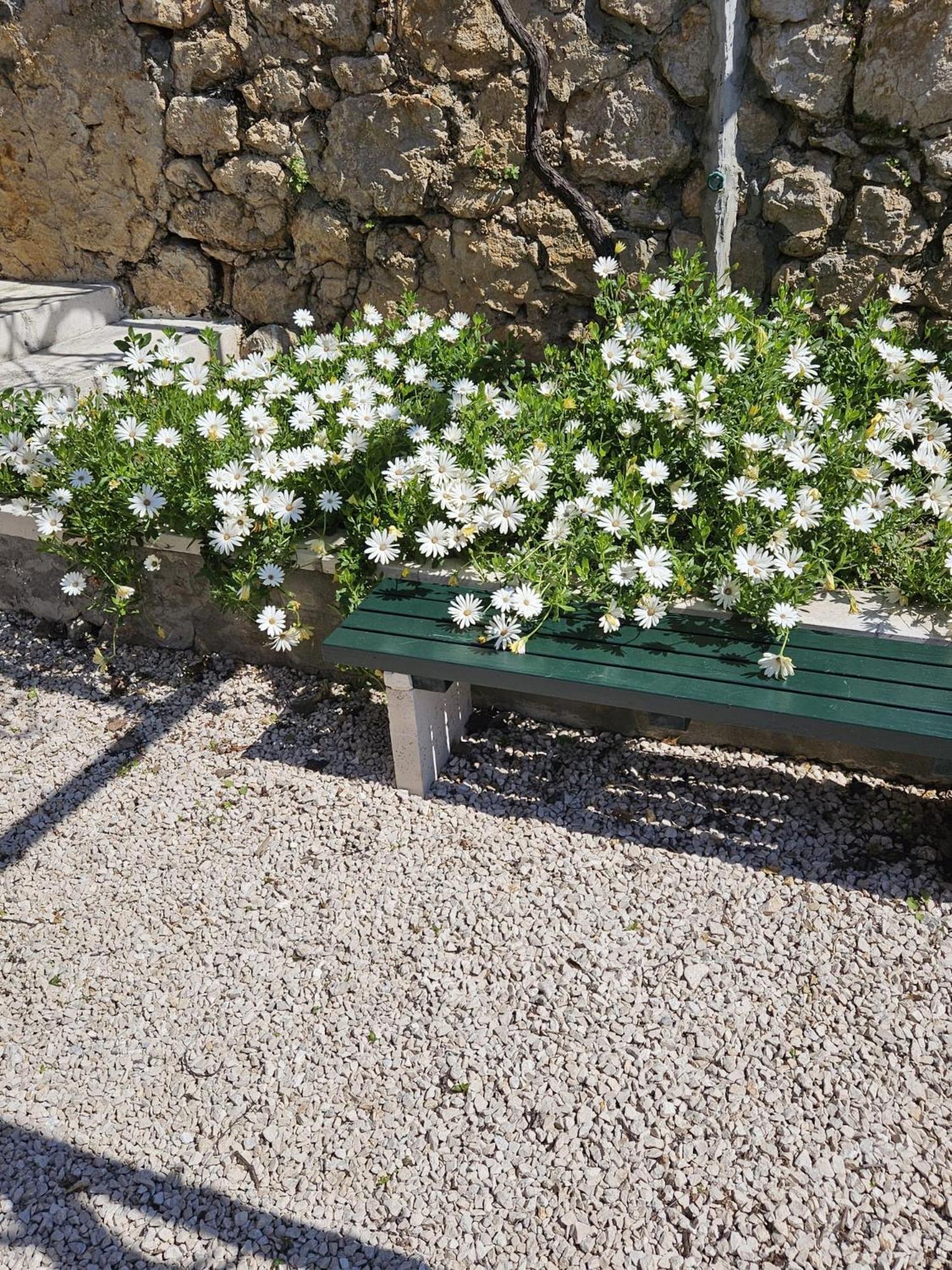 Apartment Marija Close To Old Town Dubrovnik Ruang foto